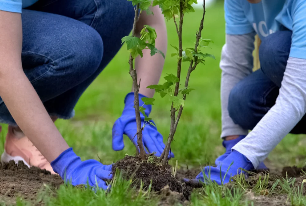 Environmental Sustainability
