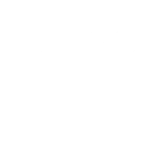 Customer