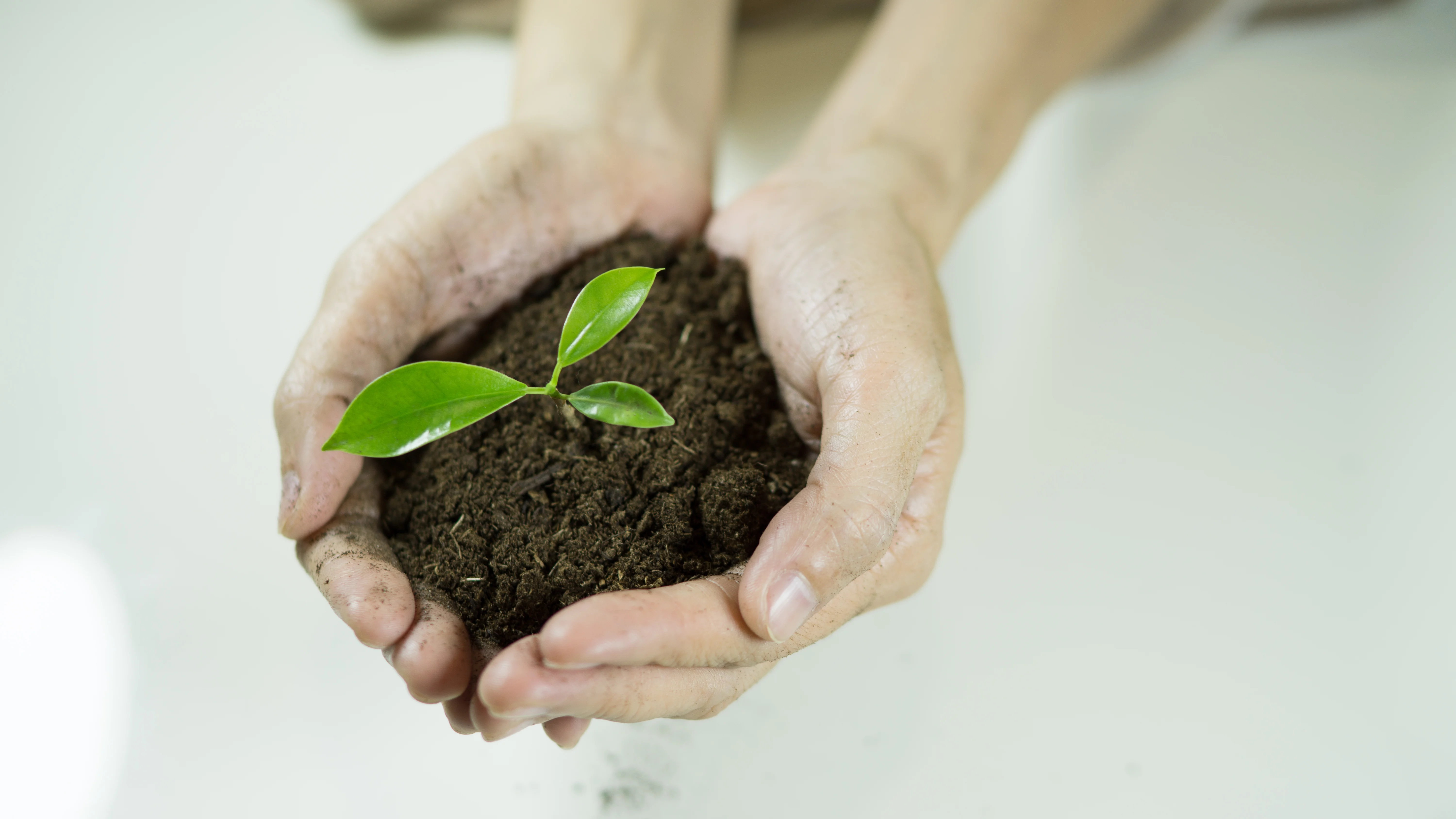 Caring for the Environment