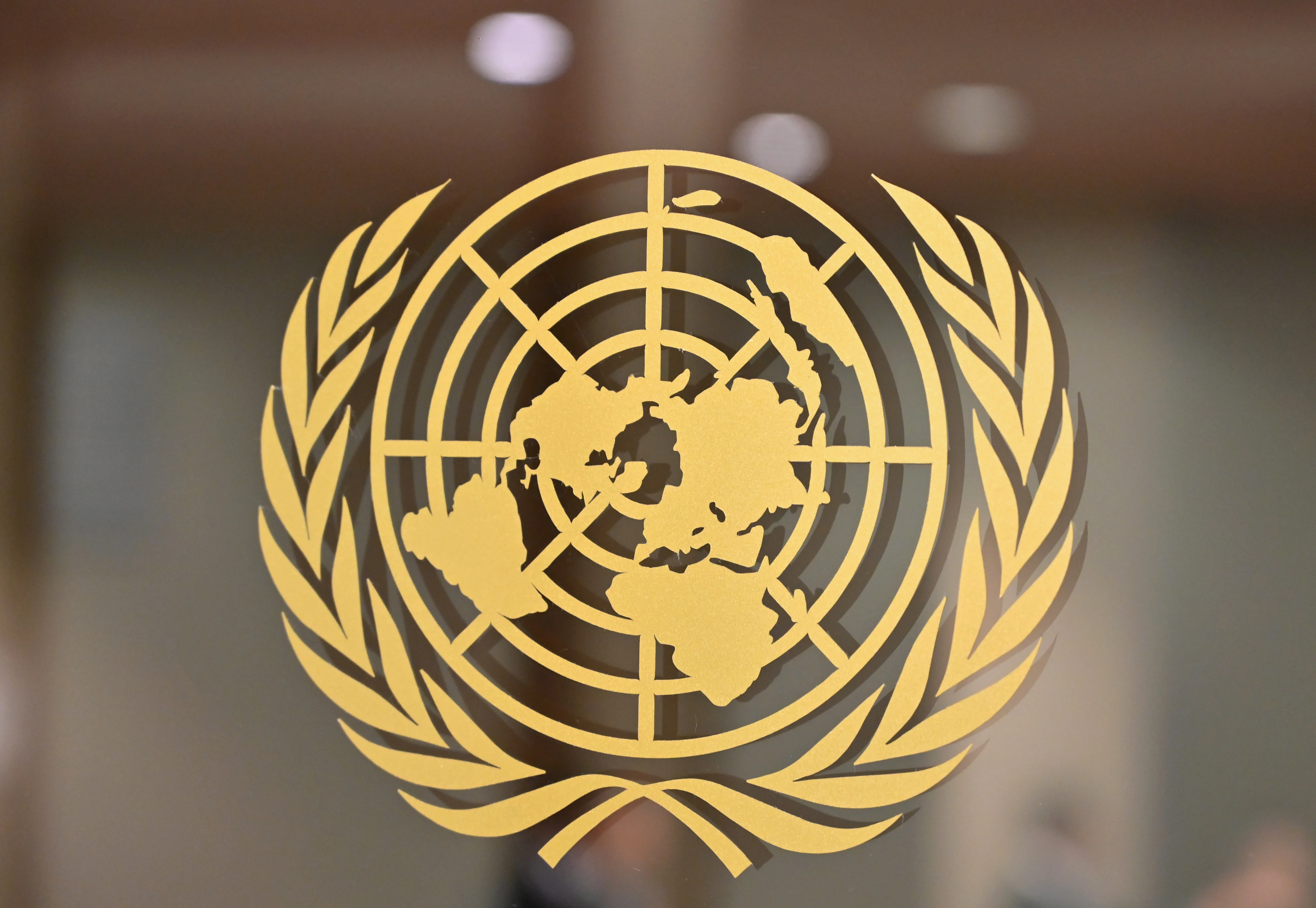 UN Sustainable Development
